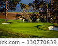 Pebble Beach golf course, Monterey, California, usa 130770839