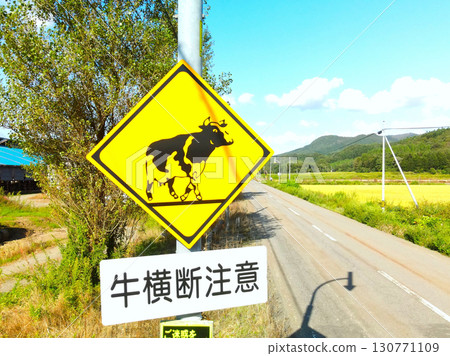 初秋時節北海道阿佐部市的路標照片 初秋時節北海道阿佐部市的路標照片 130771109