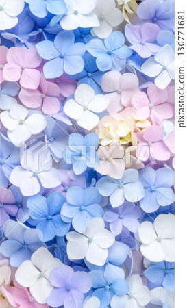 Wallpaper with hydrangea flowers scattered throughout Wallpaper with hydrangea flowers scattered throughout 130771681