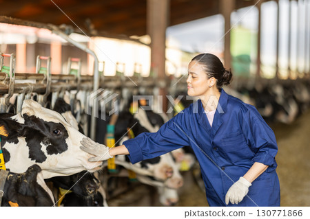 female farmer stands near the cows and checks them 130771866