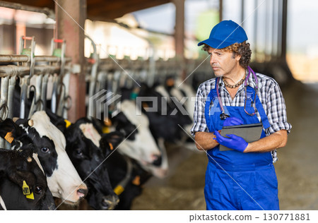 Man farm worker vet with tablet inspects cowshed Man farm worker vet with tablet inspects cowshed 130771881