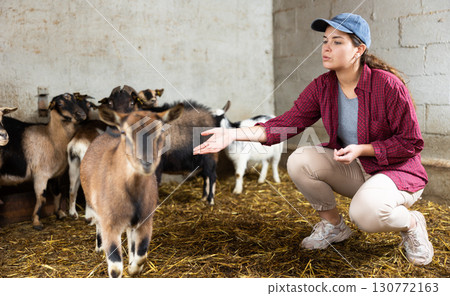 woman kneeling to feed goats 130772163