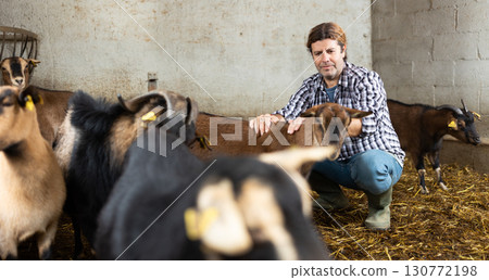 Middle aged male farm worker feeding goats Middle aged male farm worker feeding goats 130772198