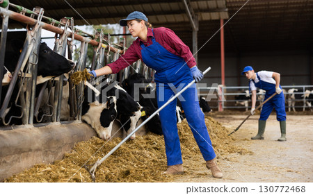 Young female farmer feeding cows on dairy farm 130772468