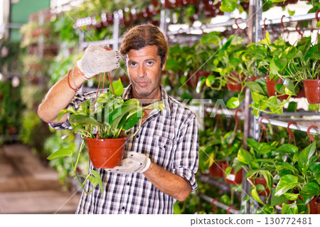 Salesman changes arrangement of pots with syngonium green and improves appearance of window. Salesman changes arrangement of pots with syngonium green and improves appearance of window. 130772481