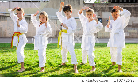 Children training a new moves during karate class at summer outdoors Children training a new moves during karate class at summer outdoors 130772583