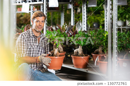 Portrait of male florist with flower ficus gingein in flower shop Portrait of male florist with flower ficus gingein in flower shop 130772761