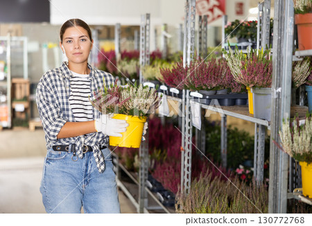 Smiling salesgirl arranging blooming heather in pots in garden store Smiling salesgirl arranging blooming heather in pots in garden store 130772768