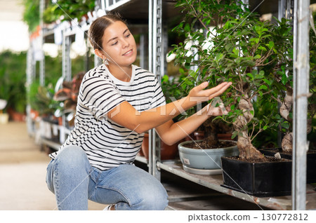 Young woman choosing pot of ficus in plant store Young woman choosing pot of ficus in plant store 130772812