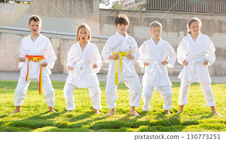 Group of focused schoolchildren practicing karate at park Group of focused schoolchildren practicing karate at park 130773251