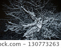 Tree in the snow at night. Snow on tree branches at night 130773263