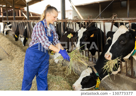 Positive girl farmer takes armful of straw from pile and gives it to cows. 130773377