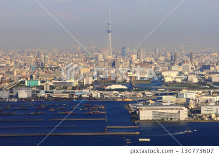 Tokyo Skytree and cityscape (Koto Ward & Sumida Ward, aerial view) 130773607