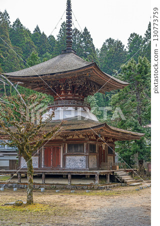 Tahoto Pagoda (National Treasure) at Kongozanmai-in Temple, Kongobuji Temple, Mount Koya Tahoto Pagoda (National Treasure) at Kongozanmai-in Temple, Kongobuji Temple, Mount Koya 130773759