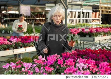 Senior woman buy potted cyclamen plant in shop 130773847