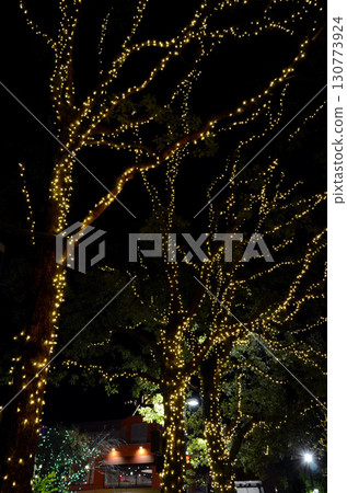 聖誕節照明 聖誕節照明 130773924