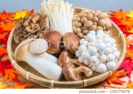Assorted mushrooms Autumn ingredients 130774076