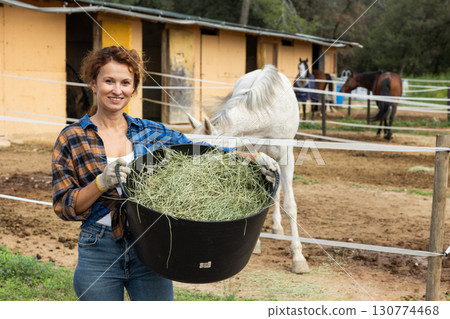 Female stable owner feeds horses with fresh hay in paddock 130774468