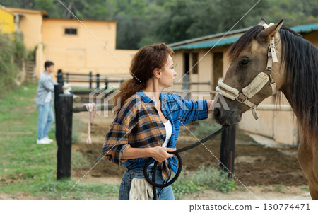 Woman owner of horse leads animal by bridle on street, walks it in street paddock 130774471