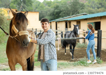 Male worker in plaid shirt combs tethered horse in stable. 130774474