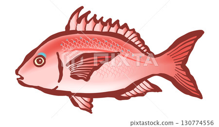 A brush drawing of the fish "Tai." Red sea bream, red sea bream, sea bream. A brush drawing of the fish "Tai." Red sea bream, red sea bream, sea bream. 130774556