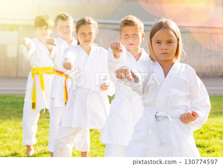 Group of focused schoolchildren practicing karate at park Group of focused schoolchildren practicing karate at park 130774597