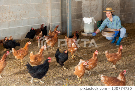 Kazakh woman feeds laying hens 130774720