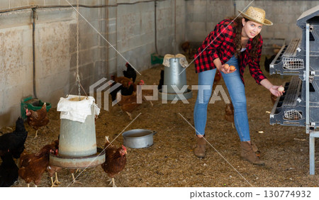Woman farmer picking fresh eggs in henhouse Woman farmer picking fresh eggs in henhouse 130774932
