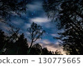 Starry sky seen through the gaps in the clouds from the forest 130775665