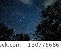 Starry sky seen from the forest 130775666