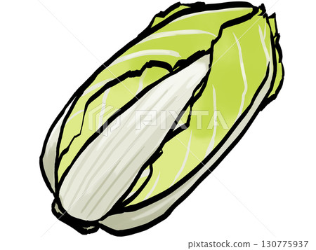 Chinese cabbage illustration (brush strokes, vegetables) Simple Chinese cabbage illustration (brush strokes, vegetables) Simple 130775937