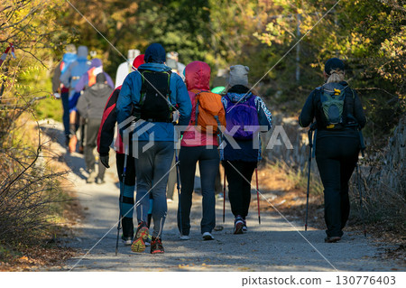Large group people with nordic walking poles moving an autumn trail in forest Large group people with nordic walking poles moving an autumn trail in forest 130776403