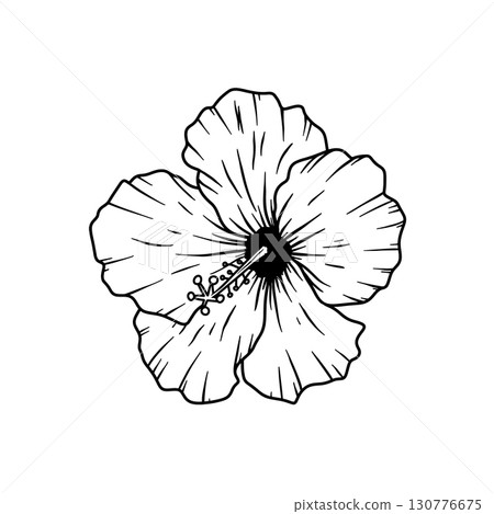 Illustration of hibiscus flower isolated on white background. Design element Illustration of hibiscus flower isolated on white background. Design element 130776675