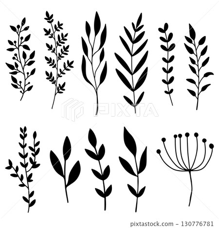 Set of hand drawn floral branches. Design element for decoration. Vector illustration Set of hand drawn floral branches. Design element for decoration. Vector illustration 130776781