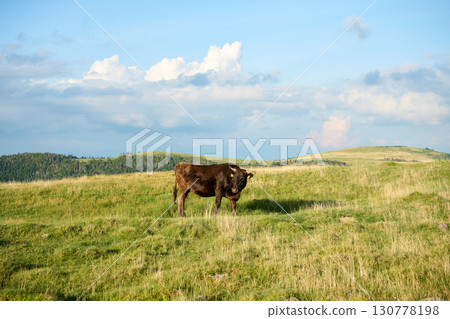 大農場的風景 大農場的風景 130778198