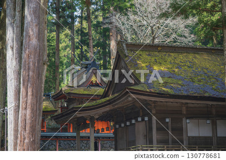 Koyasan Kongobuji Temple Sannoin and the main shrine 130778681