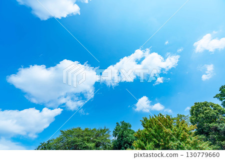 藍天,白雲和樹林 藍天,白雲和樹林 130779660