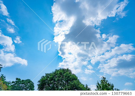 藍天，白雲和樹林 130779663