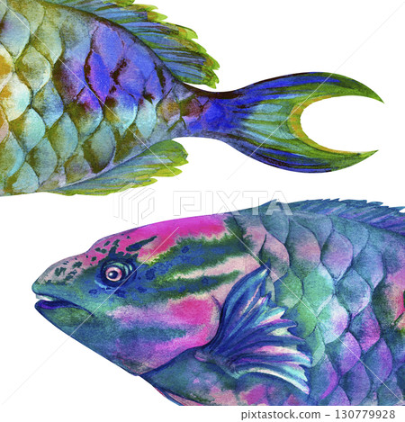 Macro view of rainbow tropical parrotfish. Watercolor hand drawn clip art illustration for design, cards, posters, children's books, stickers, scrapbooking, textile, diving and snorkeling Macro view of rainbow tropical parrotfish. Watercolor hand drawn clip art illustration for design, cards, posters, children's books, stickers, scrapbooking, textile, diving and snorkeling 130779928
