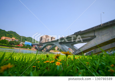 Lush Green Grass and Expressway Bridge in Xindian Taiwan Summer Day. 130780389