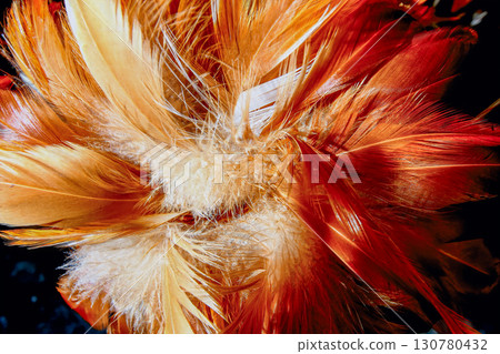 Colorful Rooster Feather Duster hanging in New Taipei City Market. Colorful Rooster Feather Duster hanging in New Taipei City Market. 130780432