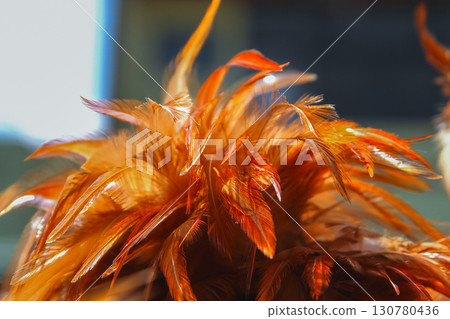 Vibrant Chicken Feather Dusters for Sale in New Taipei City Spring. 130780436