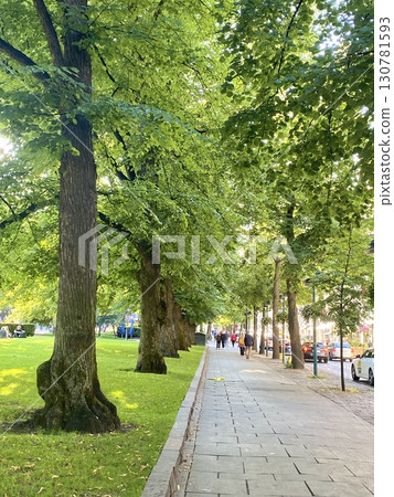 Helsinki landscape 130781593