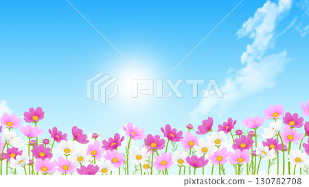 Blue sky, white clouds and cosmos 130782708