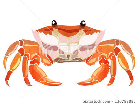 海灘生物螃蟹紙剪紙插圖 130782885