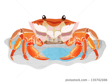 Cute and popular beach crab paper cutout illustration with background 130782886