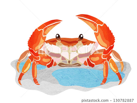 帶有背景的流行海灘蟹紙剪紙插圖 130782887