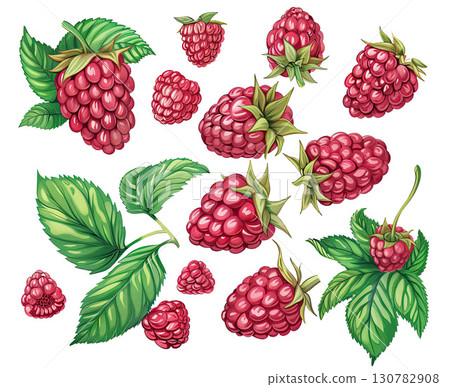 Raspberries with Leaves: Fresh Berries Set on White Background, Illustration Raspberries with Leaves: Fresh Berries Set on White Background, Illustration 130782908