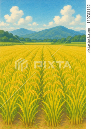 Illustration of a rice field before harvest 130783162