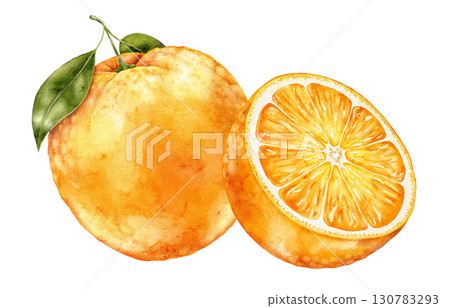 Watercolor illustration of whole orange fruit with half slice and green leaves on white background. Fresh and colorful citrus element ideal for packaging, textiles and creative prints. Watercolor illustration of whole orange fruit with half slice and green leaves on white background. Fresh and colorful citrus element ideal for packaging, textiles and creative prints. 130783293